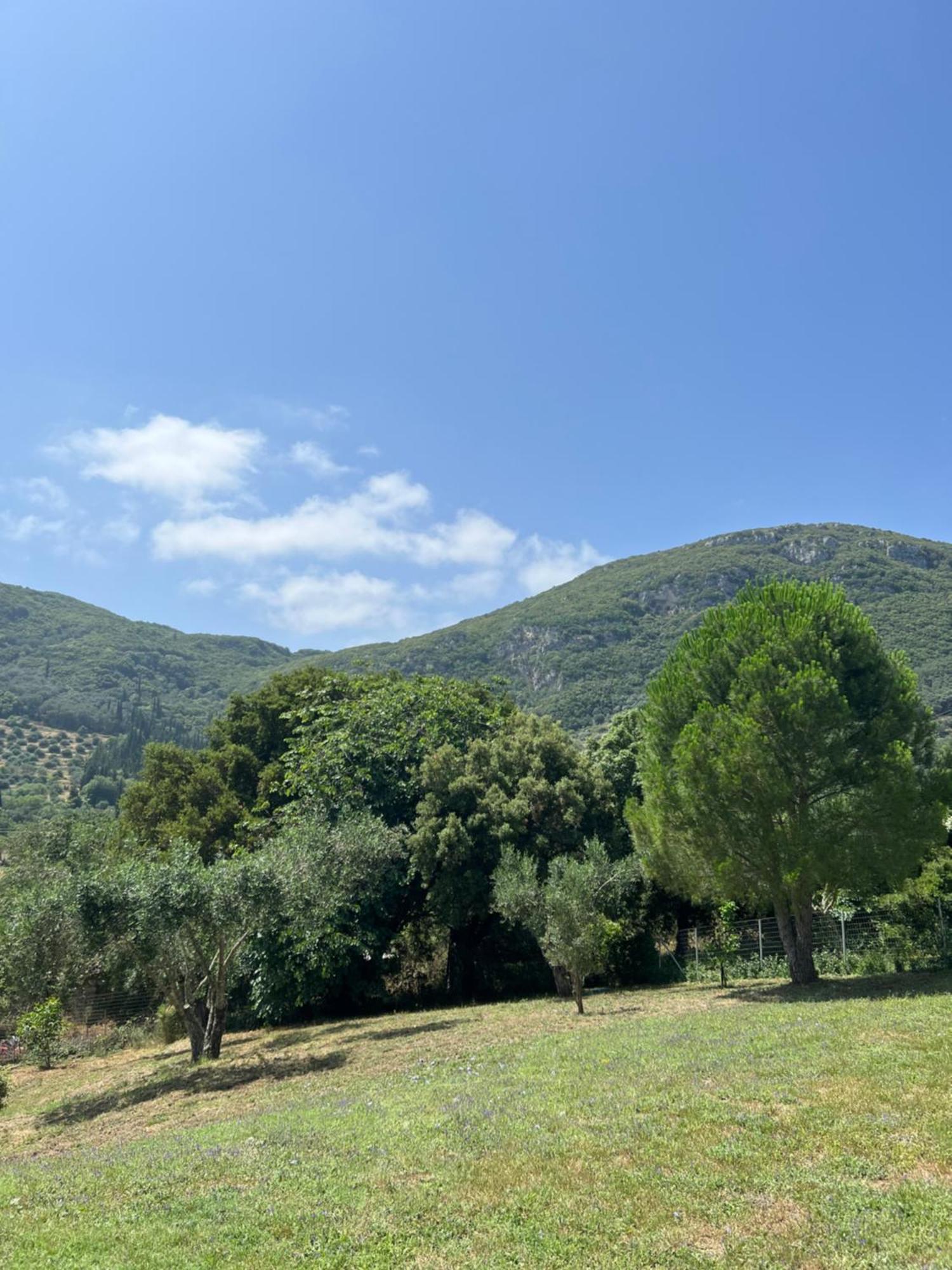 Villa Alexakis Doukádes Exteriér fotografie